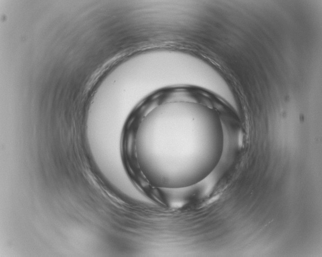 X0000052650442200507221845