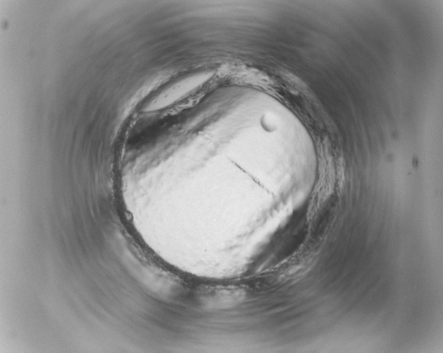 X0000052650443200507221845