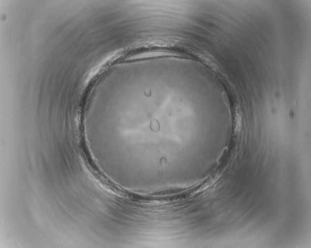 X0000052650444200507221845