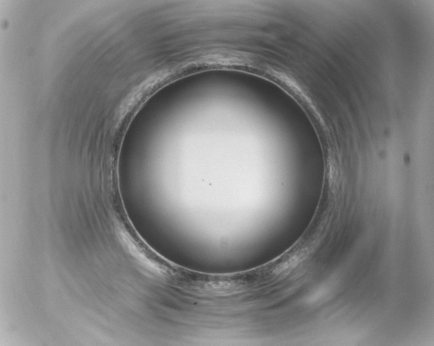 X0000052650445200507221845