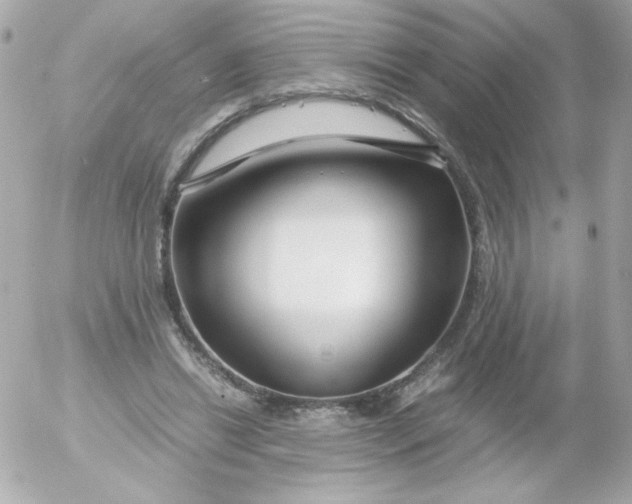 X0000052650446200507221846