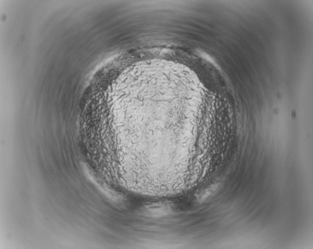 X0000052650447200507221846