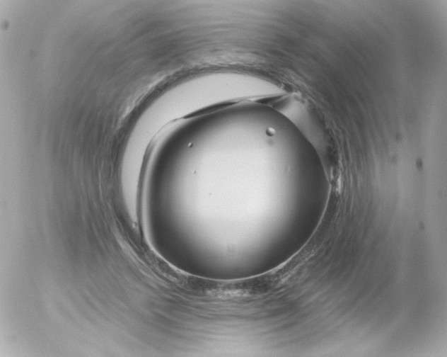 X0000052650448200507221846