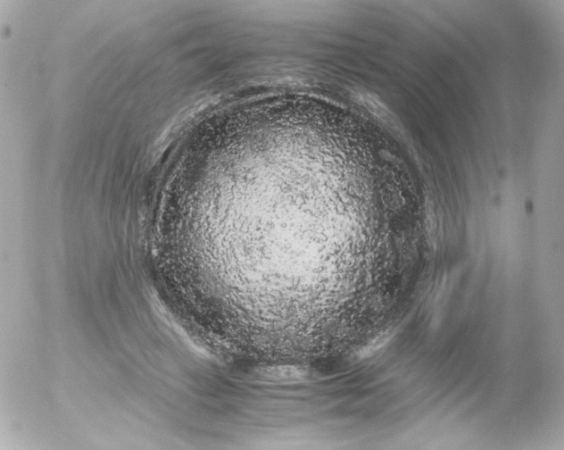 X0000052650449200507221846