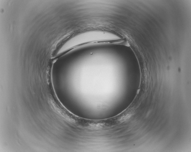 X0000052650450200507221846