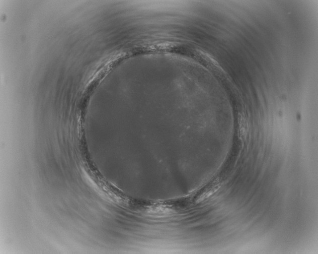 X0000052650451200507221846