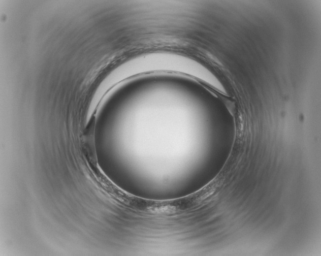 X0000052650452200507221846