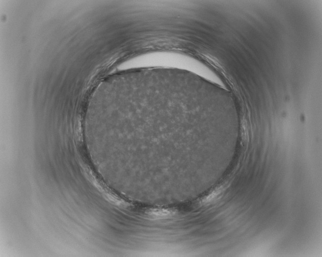 X0000052650453200507221846