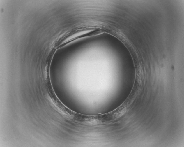 X0000052650454200507221846