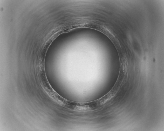 X0000052650455200507221846