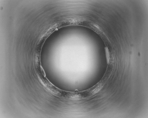 X0000052650456200507221846