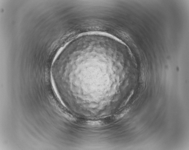 X0000052650457200507221846