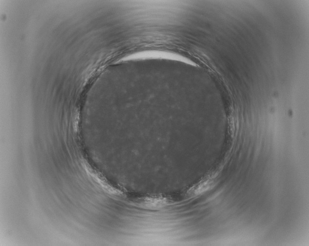 X0000052650458200507221846