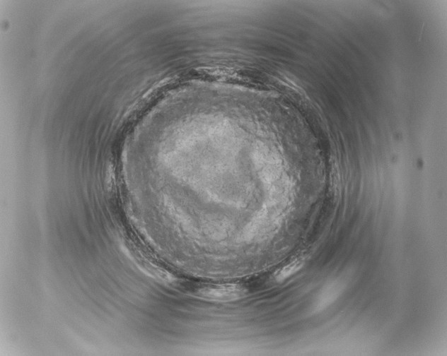 X0000052650459200507221846