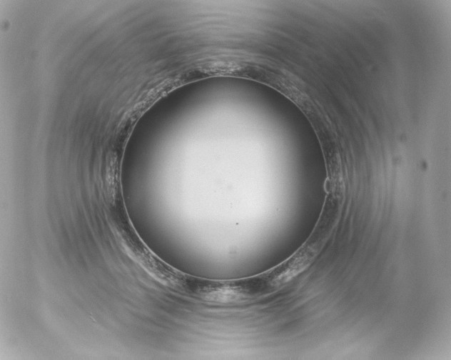 X0000052650460200507221846