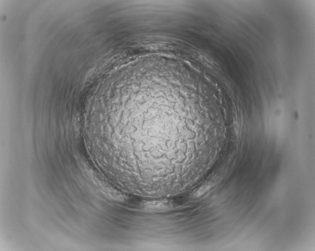 X0000052650461200507221846