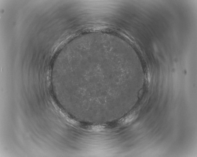 X0000052650462200507221846