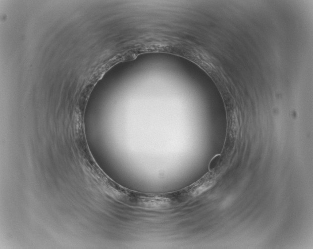 X0000052650463200507221846