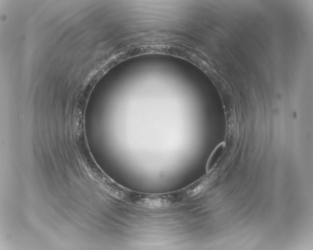 X0000052650464200507221846