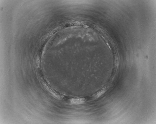 X0000052650465200507221846