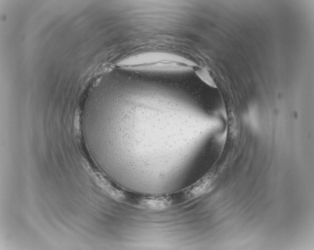 X0000052650466200507221846