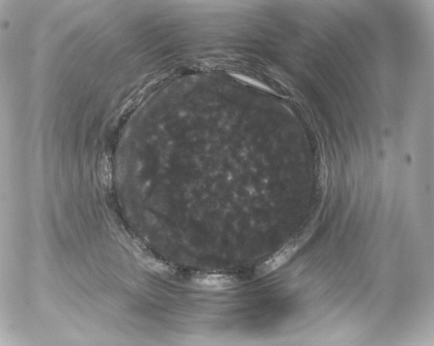 X0000052650467200507221846