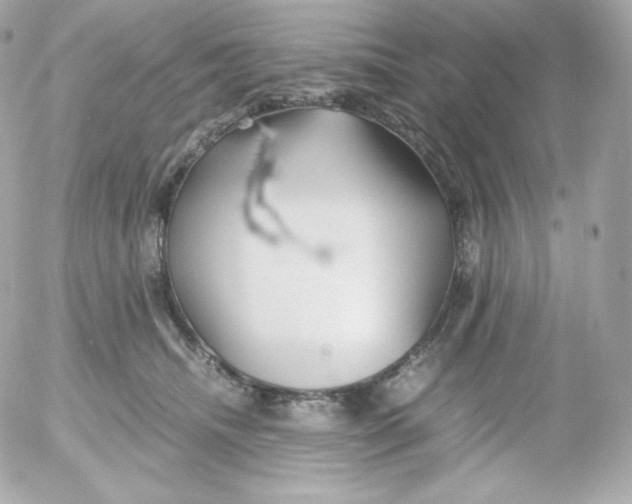 X0000052650468200507221846