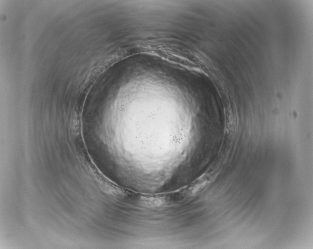 X0000052650469200507221846