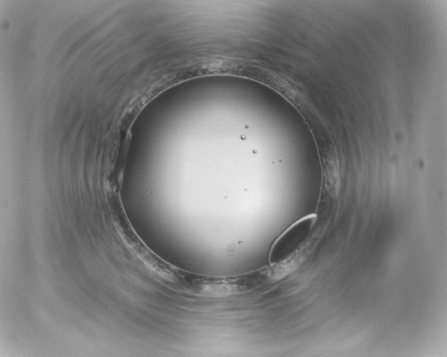 X0000052650470200507221846