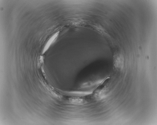 X0000052650471200507221846