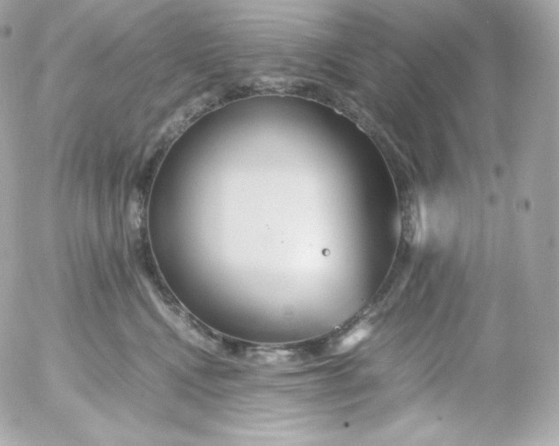 X0000052650472200507221846