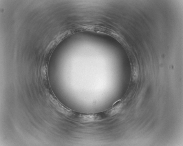 X0000052650473200507221846