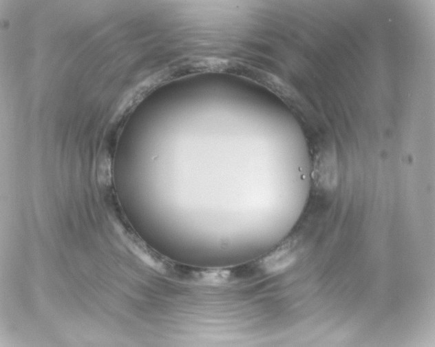 X0000052650474200507221846