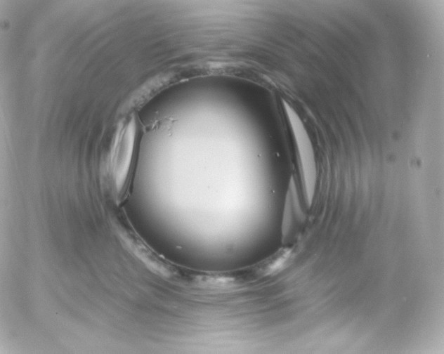 X0000052650476200507221846