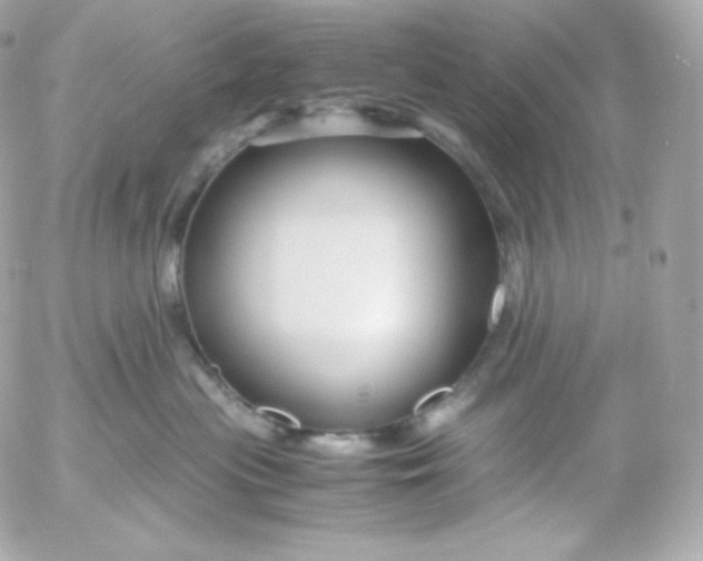 X0000052650477200507221846