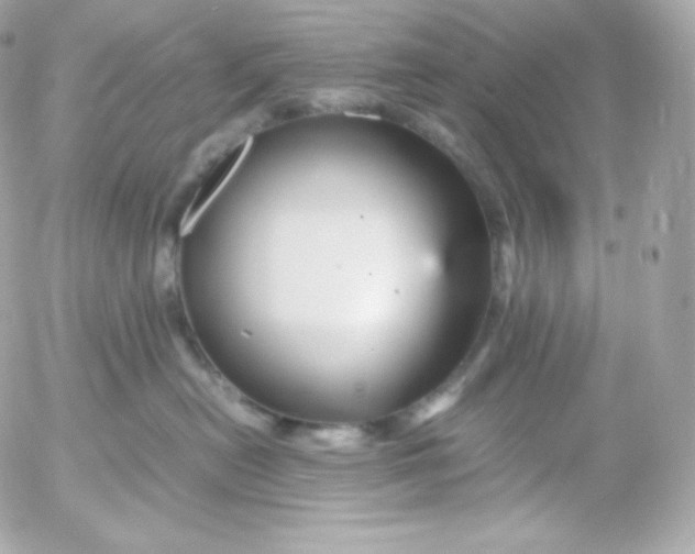 X0000052650478200507221846