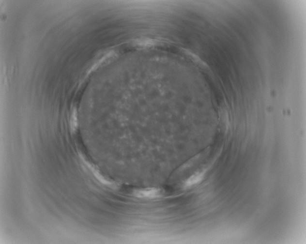 X0000052650479200507221846