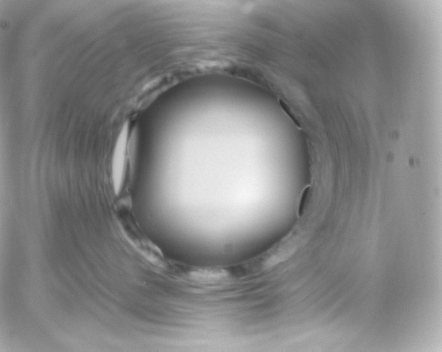 X0000052650480200507221846