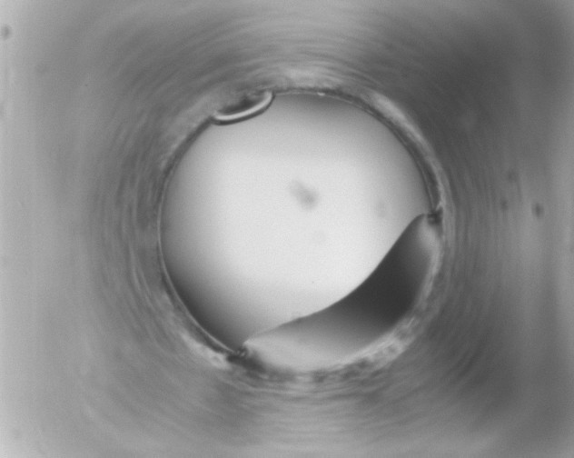 X0000052650481200507221845