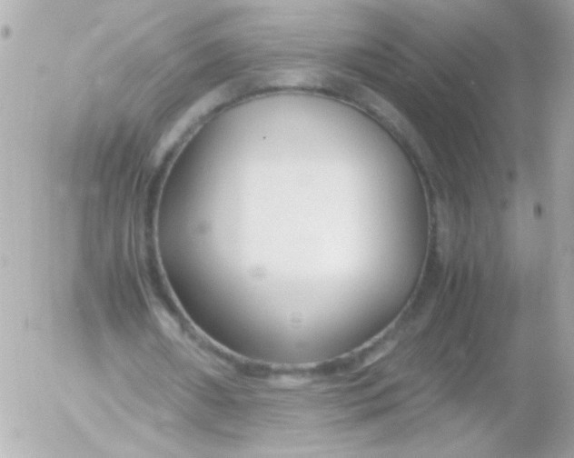 X0000052650482200507221845