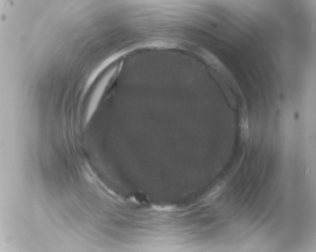 X0000052650484200507221845