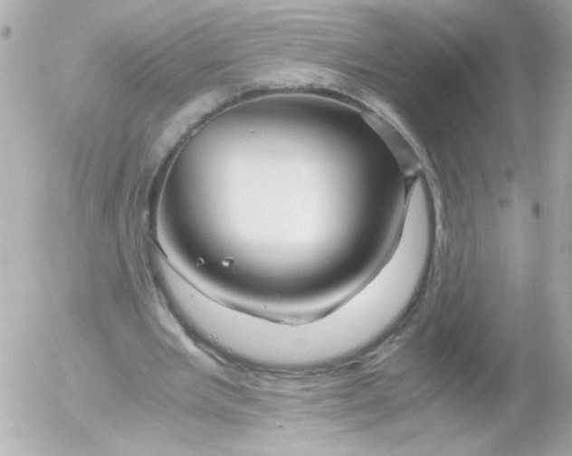 X0000052650485200507221845