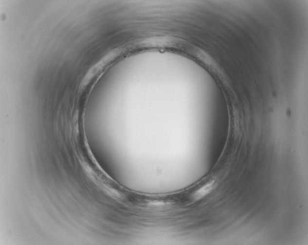 X0000052650486200507221845