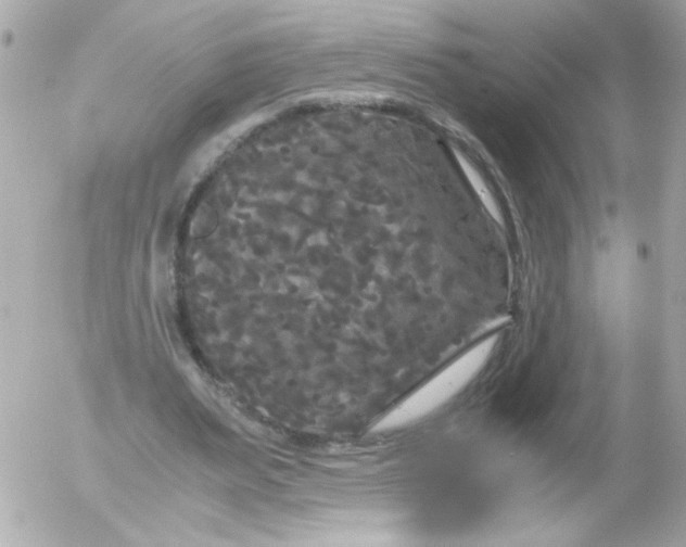 X0000052650487200507221845