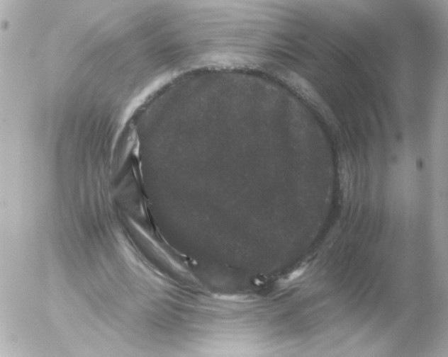 X0000052650488200507221845