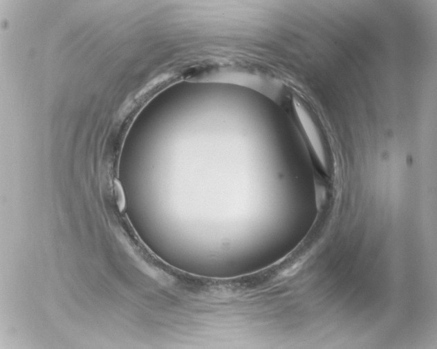 X0000052650489200507221845