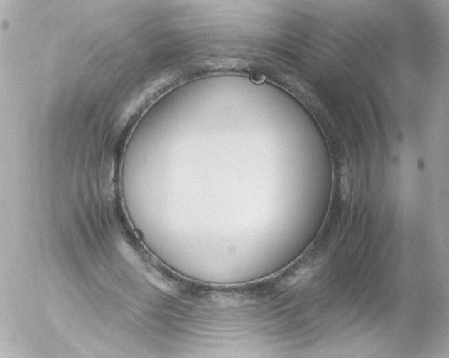 X0000052650490200507221845