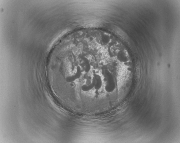 X0000052650491200507221845