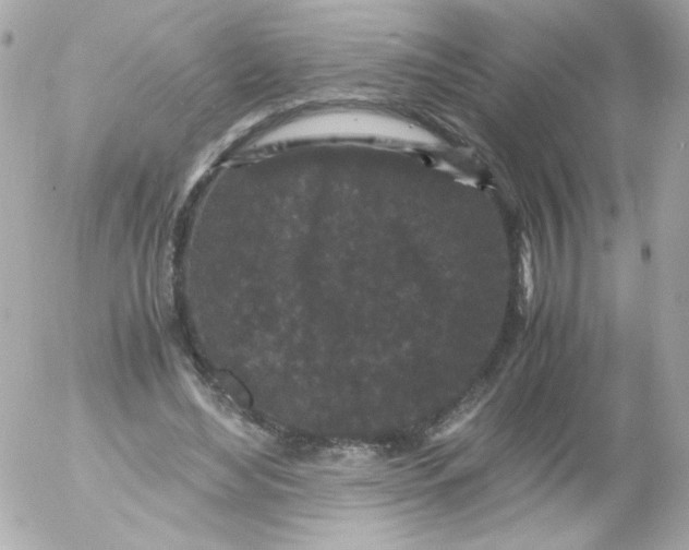 X0000052650492200507221845