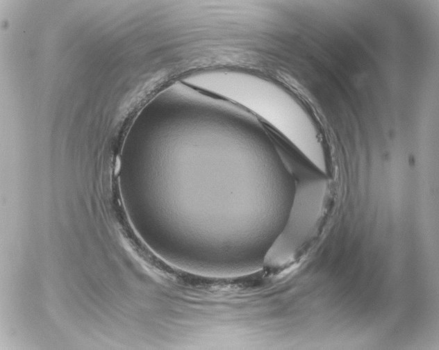 X0000052650493200507221845